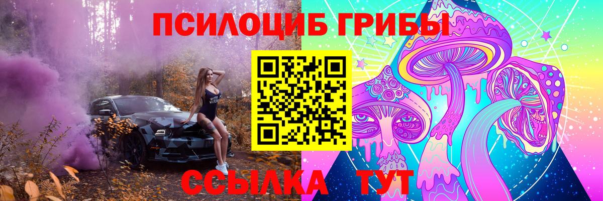 Псилоцибиновые грибы Psilocybe Бахчисарай