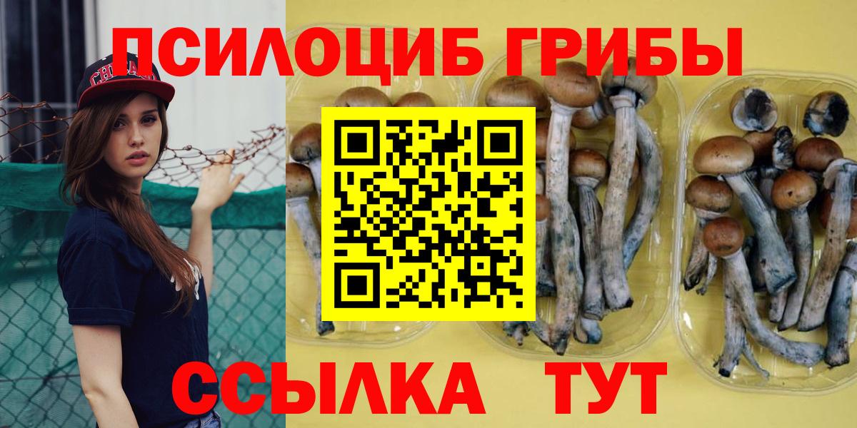 Псилоцибиновые грибы GOLDEN TEACHER  Вход с VPN  Псилоцибиновые грибы ЛСД  Бахчисарай 